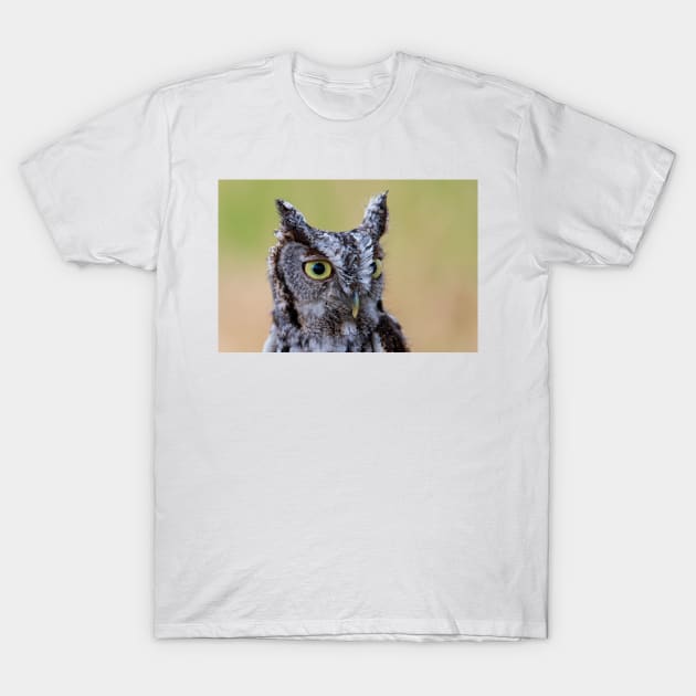 Screech T-Shirt by gdb2